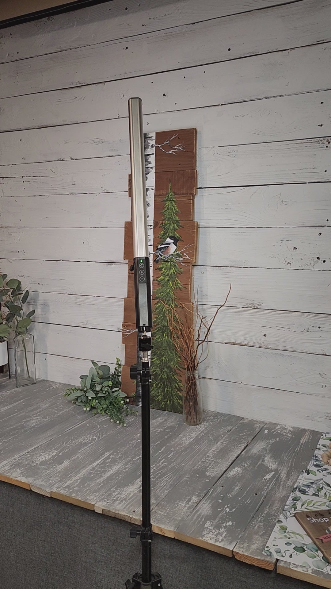 Tall White Birch and Pine tree, hand painted chickadee, Rustic cabin decor pallet art