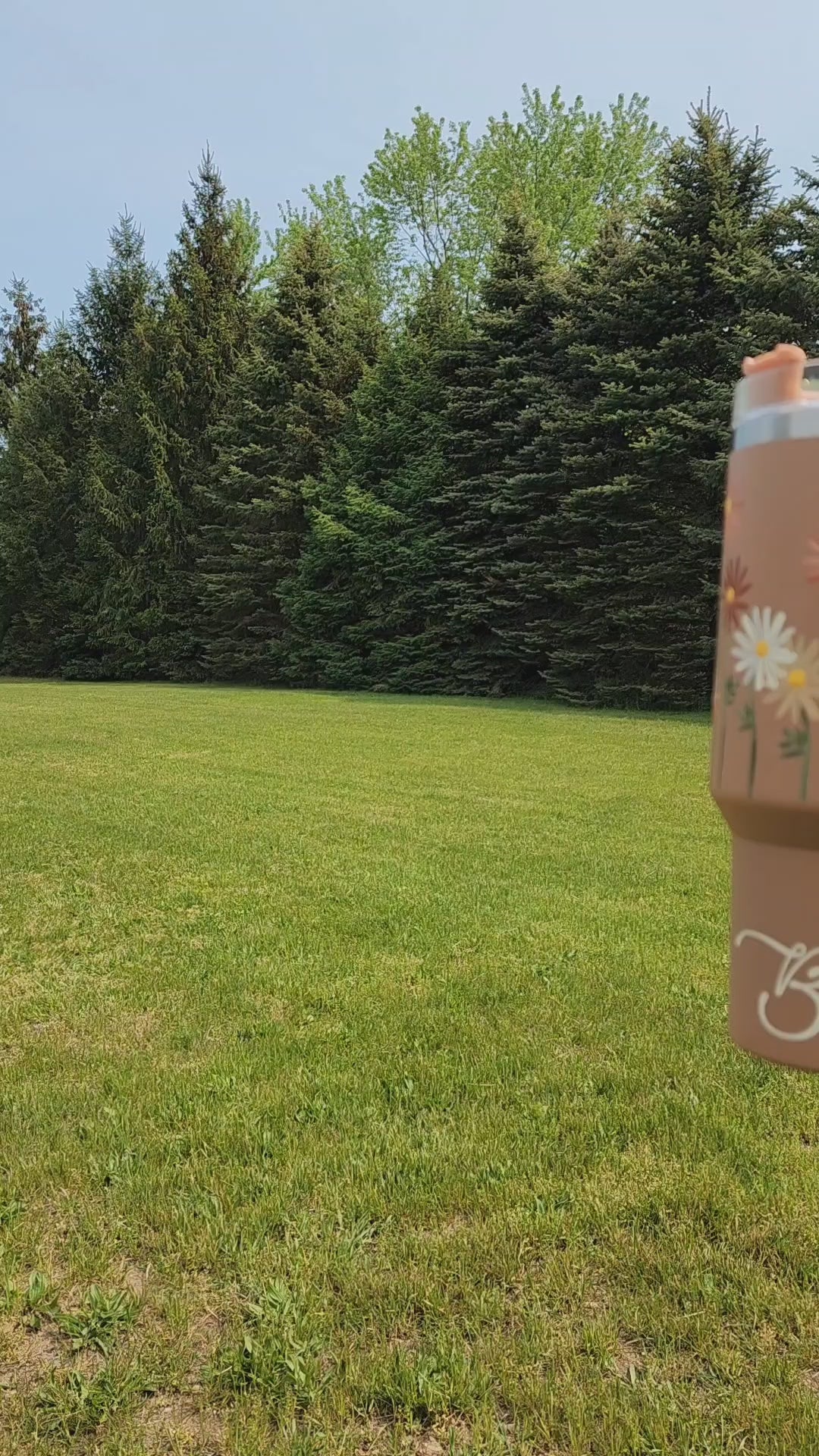 Tan neutral 40oz tumbler with painted dasies,Women's Christmas Gift, Stanley Dupe with hand painted flowers, "Bloom", one of a kind floral design, water bottle